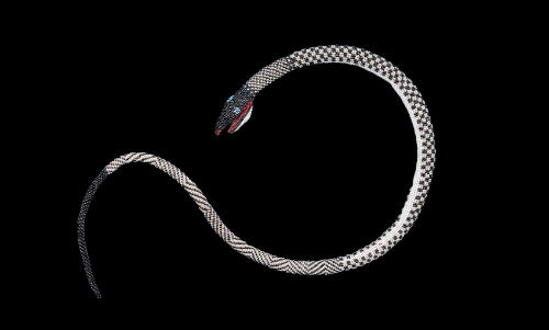 Turkish prisoner's snake