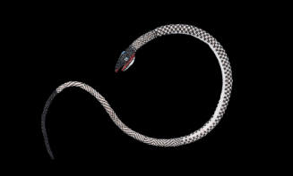 Turkish prisoner's snake
