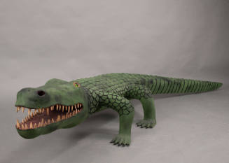 Alligator