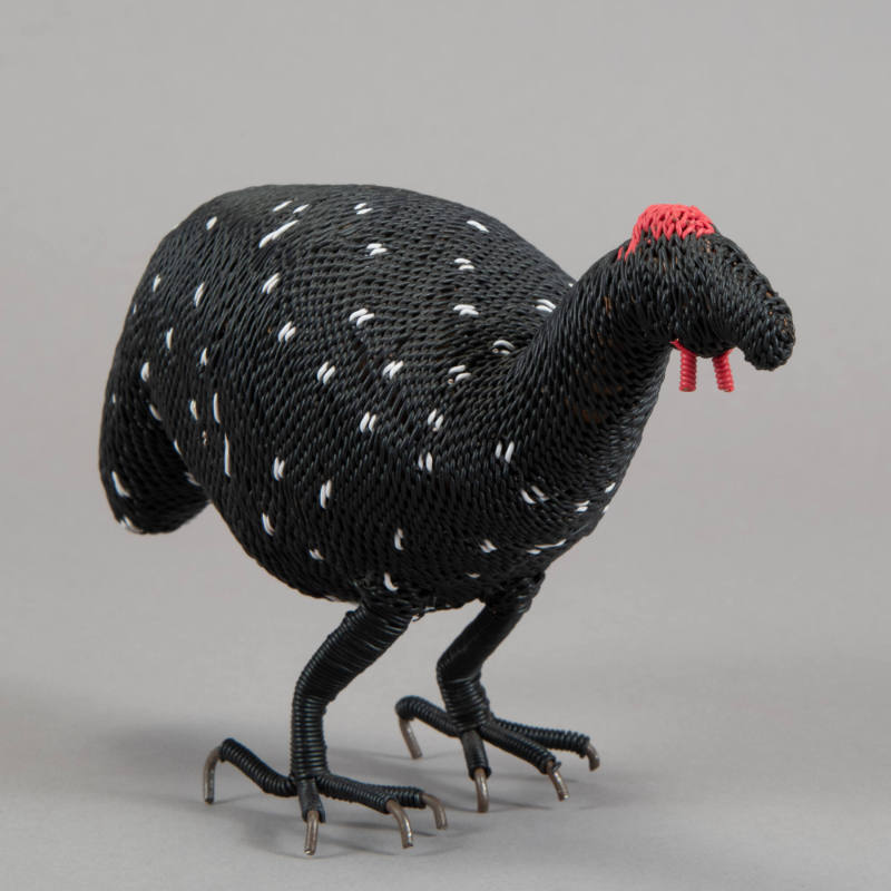 Guineafowl bird