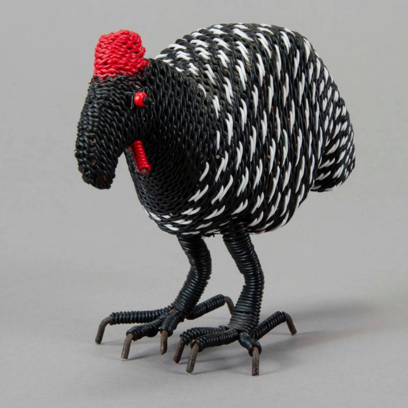 Guineafowl bird