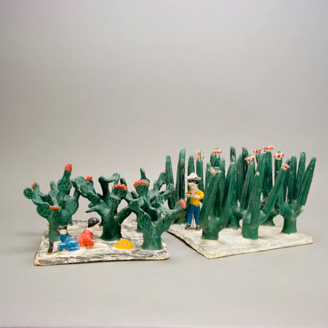 BOY IN CACTUS