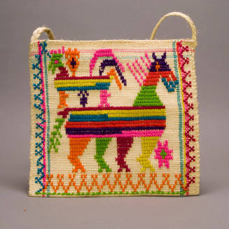 Carrying Bag