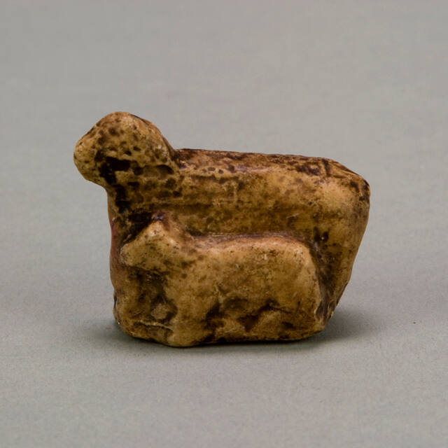 Mother Llama with baby