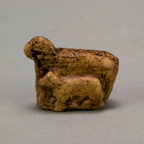 Mother Llama with baby