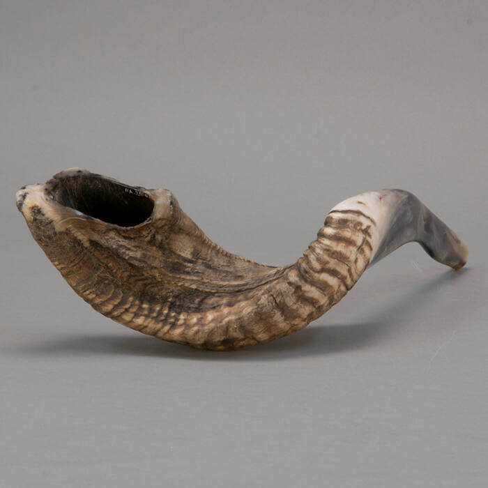 Shofar (Ceremonial Horn)