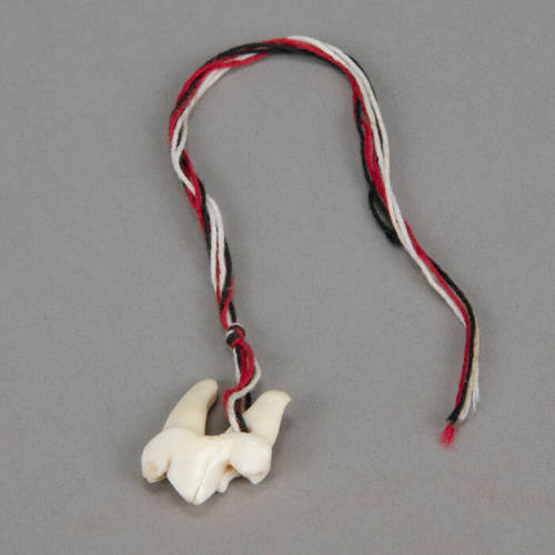 Wolf tooth amulet