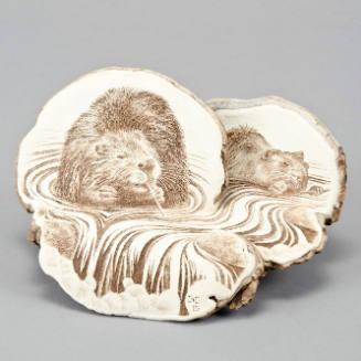 Beaver