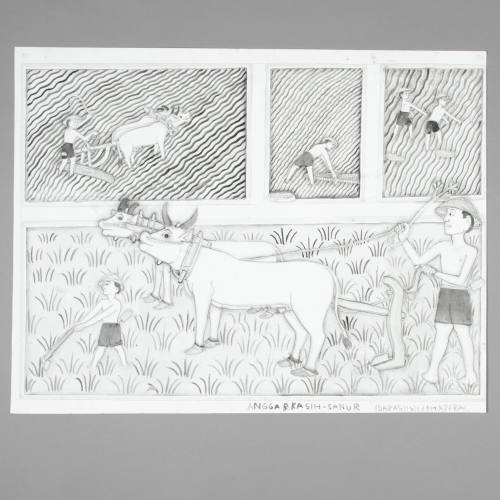 Man plowing rice field (Membajak Sawah)