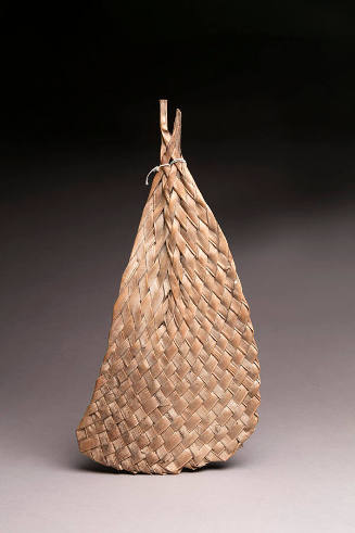 Fan (for fanning a fire, or a fly whisk)