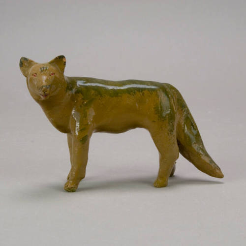 Coyote