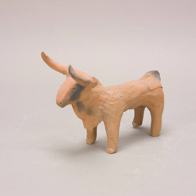 Bull