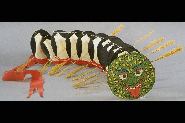 Centipede kite