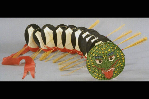 Centipede kite