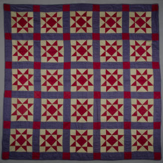 Twenty Five Block Star with Sashing Quilt