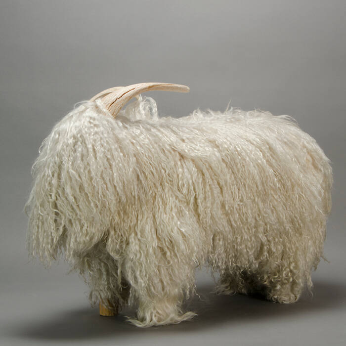 Cashmere (kashmir) Goat