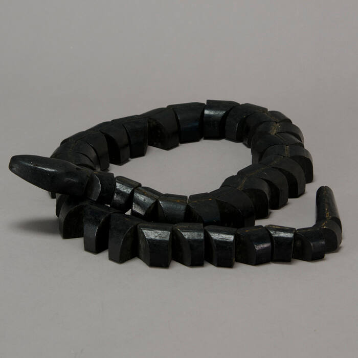 Black snake