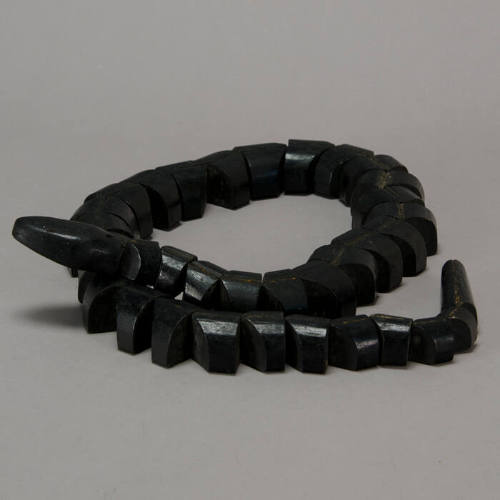 Black snake