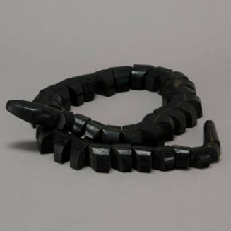 Black snake
