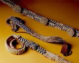 Beaded Belts.  